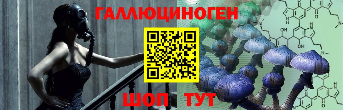 Псилоцибиновые грибы Psilocybine cubensis  купить закладку  Уварово  Вход с VPN 